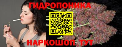 шишки Бузулук
