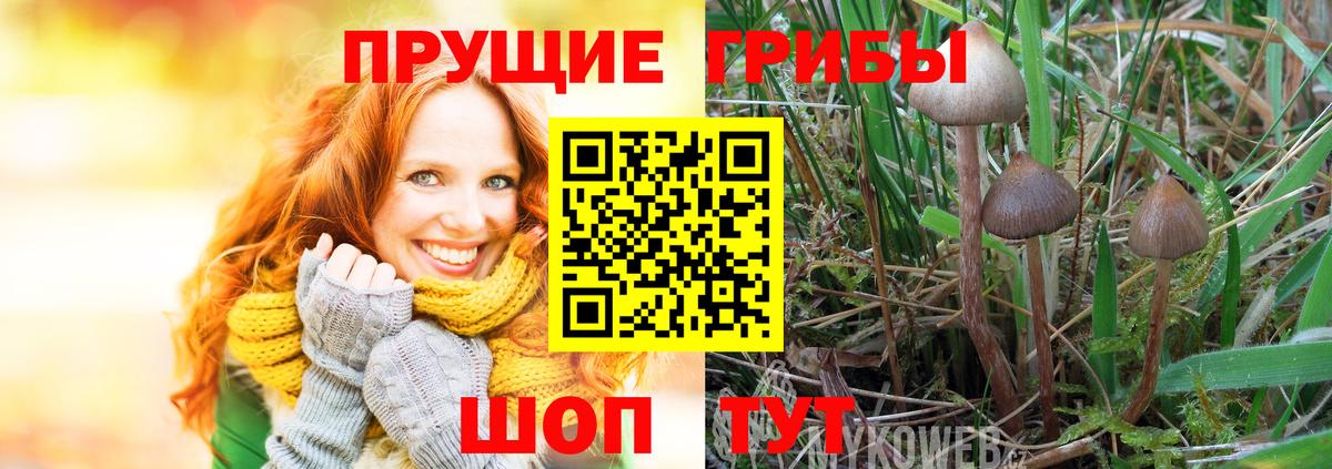 Псилоцибиновые грибы GOLDEN TEACHER  Вход с VPN  Партизанск 