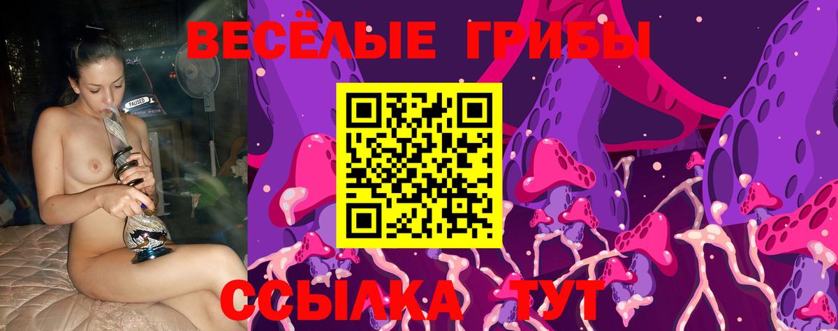 Галлюциногенные грибы Psilocybine cubensis Партизанск